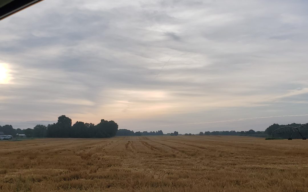 SEVEN TIPS TO EMRACE YOUR Birthday!