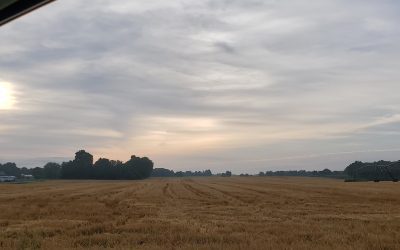 SEVEN TIPS TO EMRACE YOUR Birthday!