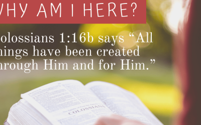 What does humility look like?