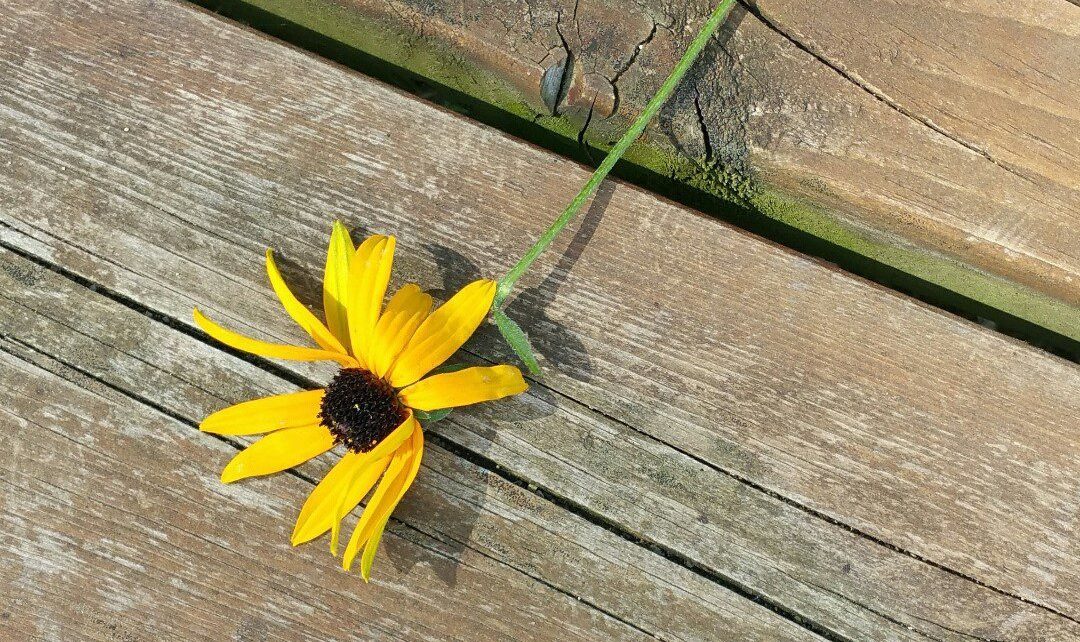 When life breaks you- what do you do?