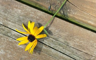 When life breaks you- what do you do?